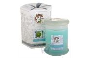 Soy Wax Container Candle (Cool Citrus)- Kirra- 390g