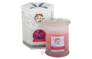 Soy Wax Container Candle (Dragon's Blood)- Kirra- 390g