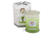 Soy Wax Container Candle (Sweet Lemongrass)- Kirra- 390g