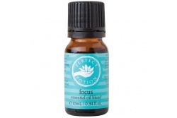 Focus Essential Oil Blend- Perfect Potion- 10ml
