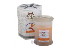 Soy Wax Container Candle (Bird Of Paradise)- Kirra- 390g