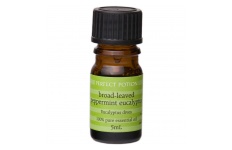 Broad-Leaved Peppermint Eucalyptus Essential Oil- Perfect Potion- 5ml