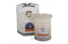 Soy Wax Container Candle (Australian Sandalwood)