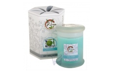 Soy Wax Container Candle (Cool Citrus)- Kirra- 390g