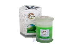 Soy Wax Container Candle (Fresh Grass)- Kirra- 390g